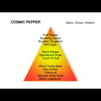 Cosmic Pepper Eau de Parfum 120 ml