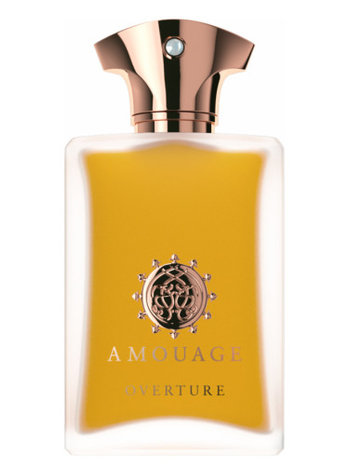 Amouage Overture Man Eau de Parfum 100 ml ParfuMaria