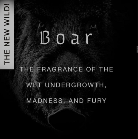 BOAR Eau de Parfum 50 ml