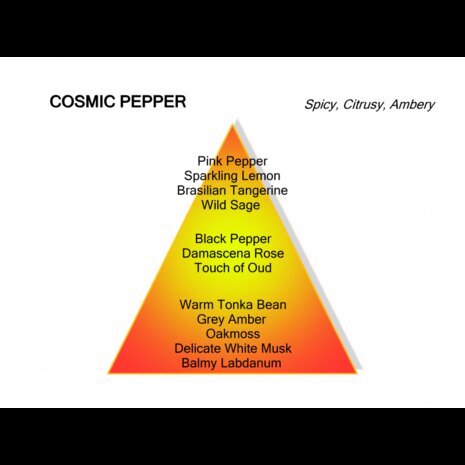 Cosmic Pepper Eau de Parfum 60 ml