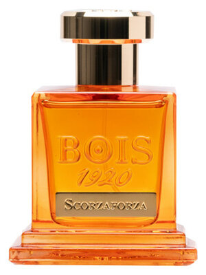 SCORZAFORZA Extrait de Parfum 100 ml